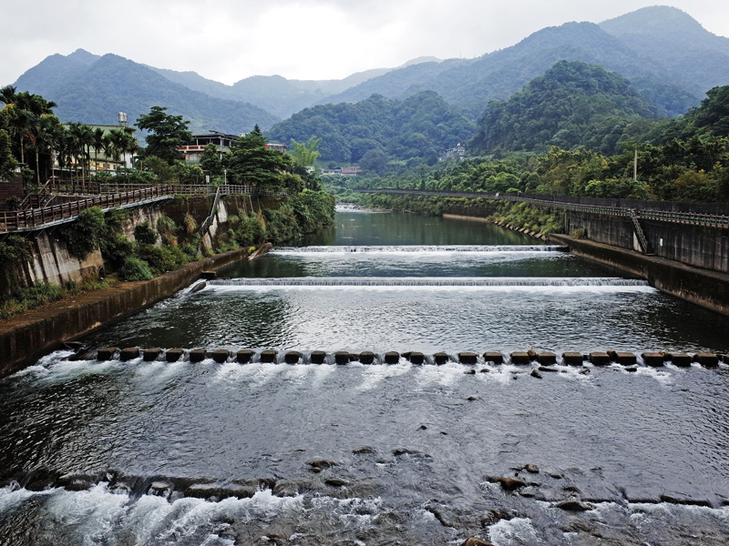 2014-06-22坪林親水吊橋015.jpg