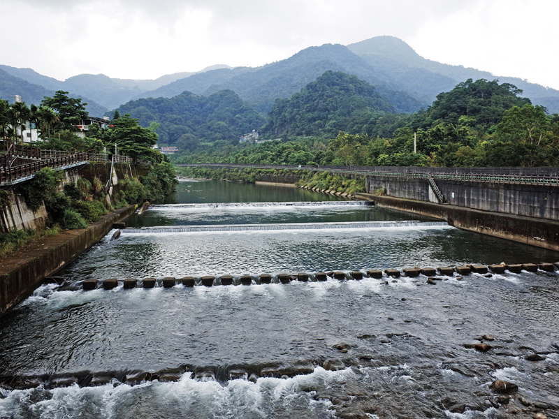 2014-06-22坪林親水吊橋021.jpg