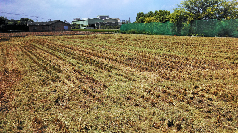 2014-06-28回南部027.jpg