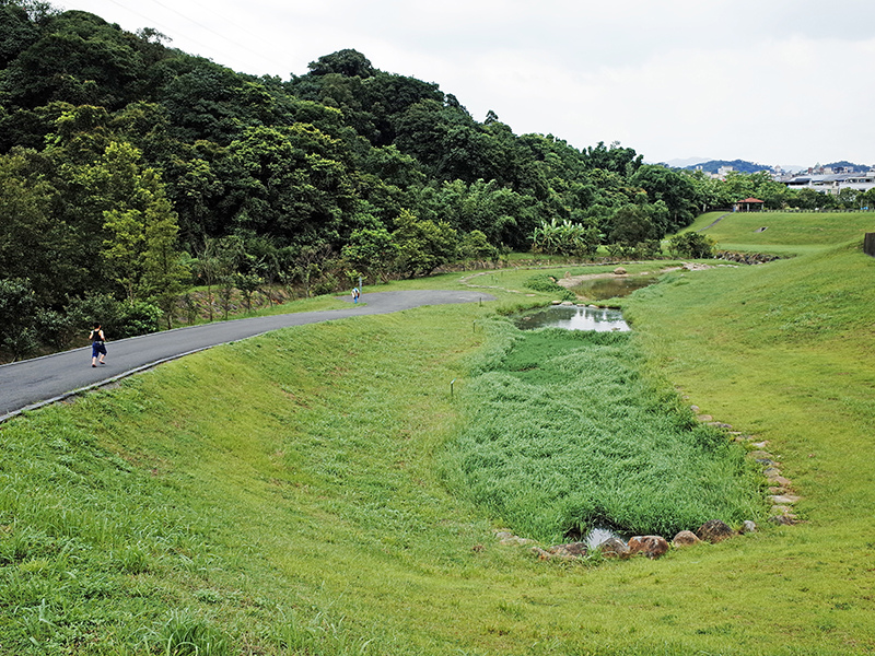 2014-07-13大溝溪親水步道055.jpg