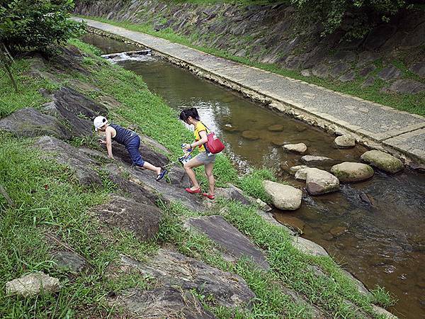 2014-07-13大溝溪親水步道059.jpg