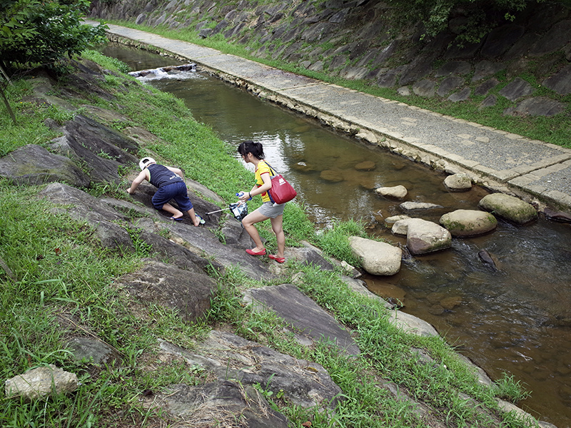 2014-07-13大溝溪親水步道060.jpg