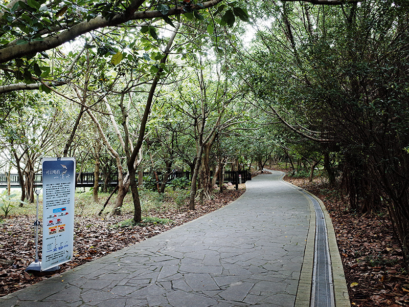 2014-08-10關渡自然公園008.jpg