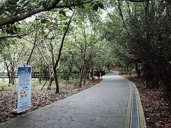 2014-08-10關渡自然公園008.jpg