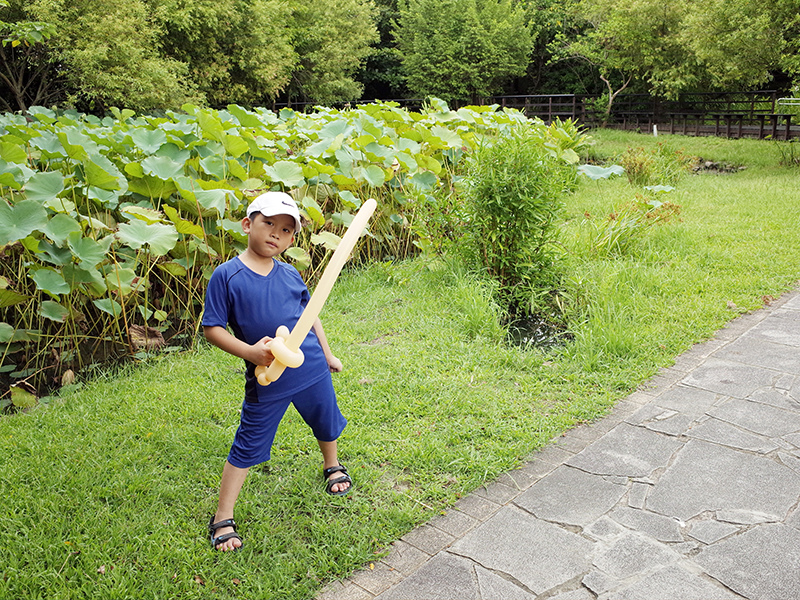 2014-08-10關渡自然公園014.jpg