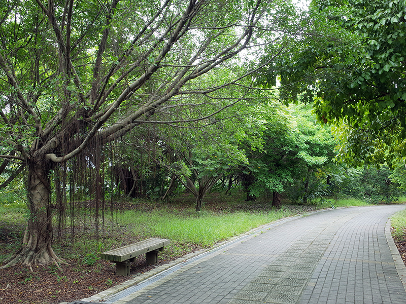 2014-08-10關渡自然公園026.jpg