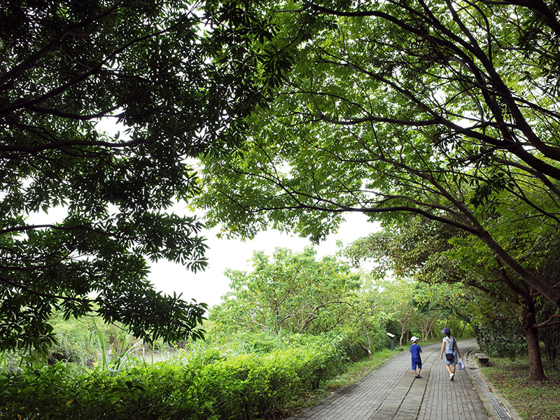 2014-08-10關渡自然公園029.jpg