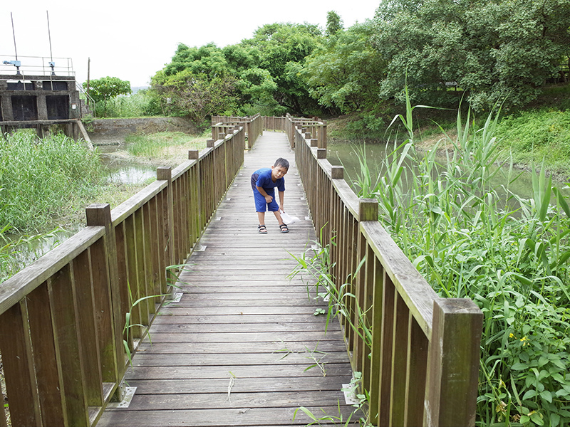 2014-08-10關渡自然公園050.jpg