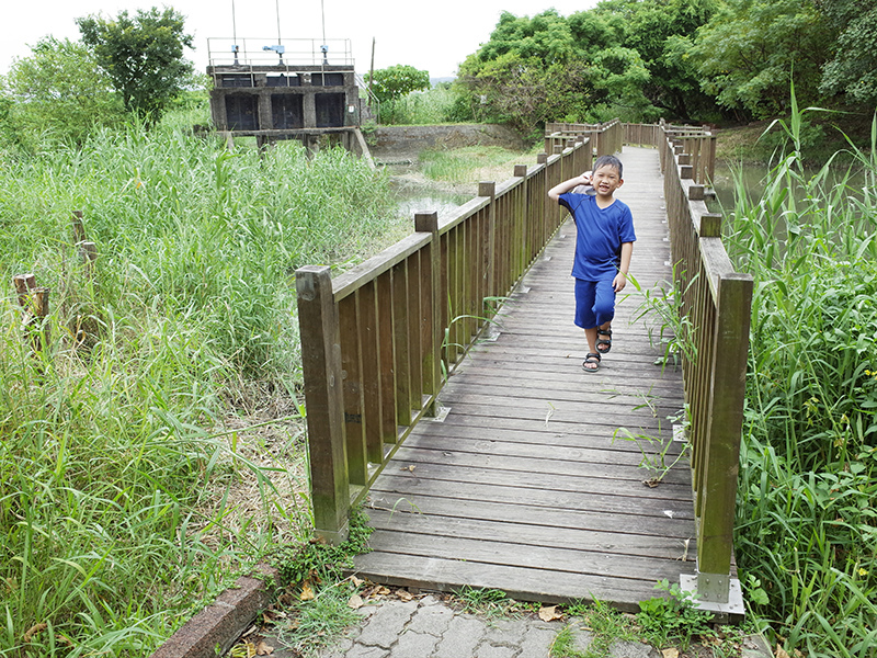 2014-08-10關渡自然公園051.jpg