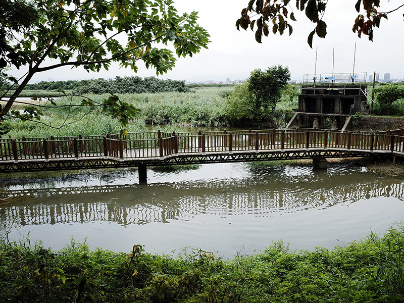 2014-08-10關渡自然公園053.jpg