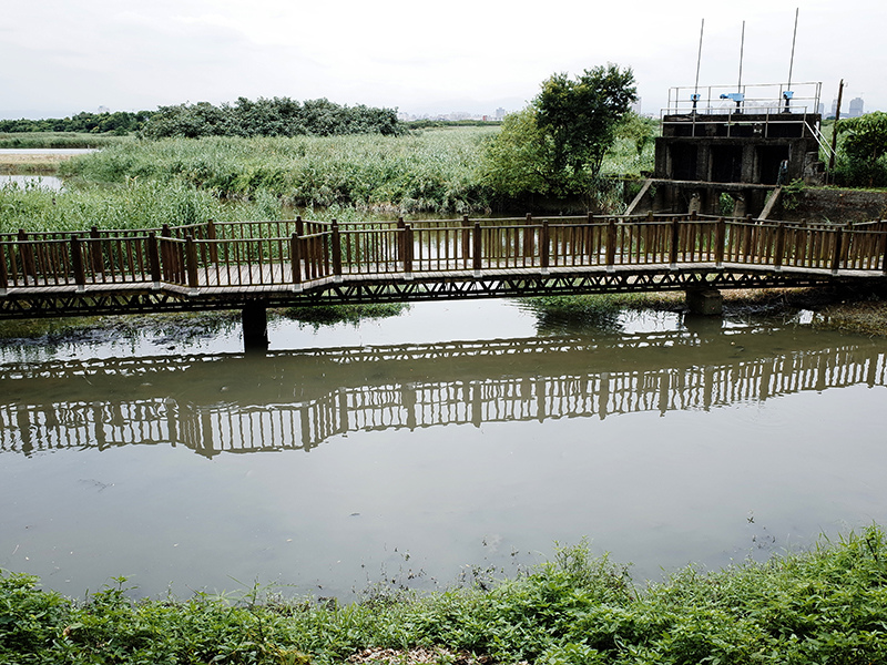 2014-08-10關渡自然公園054.jpg