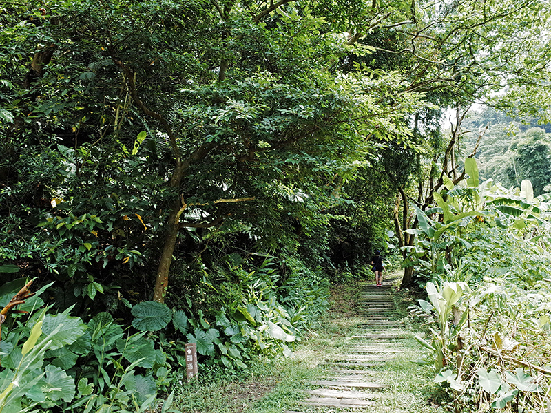 2014-08-23大尖山002.jpg