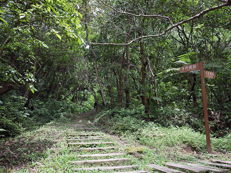 2014-08-23大尖山010.jpg