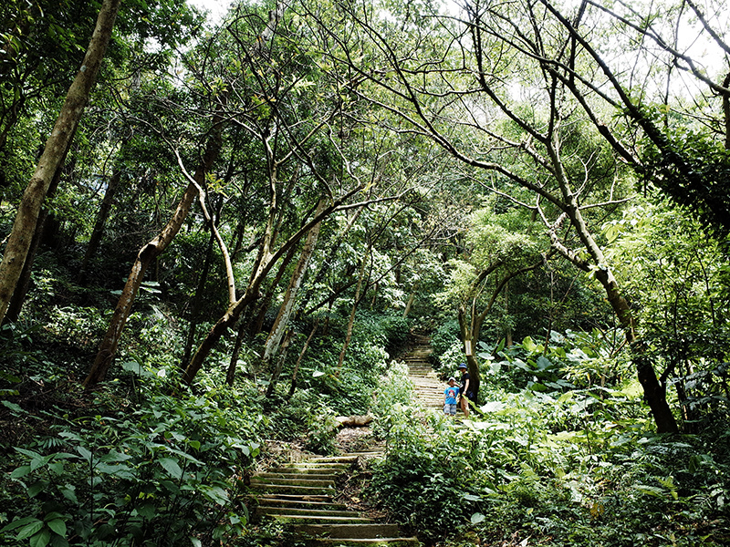 2014-08-23大尖山012.jpg