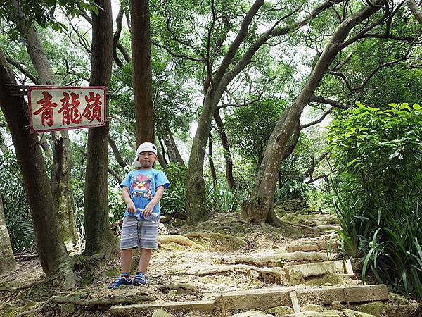 2014-08-23大尖山015.jpg