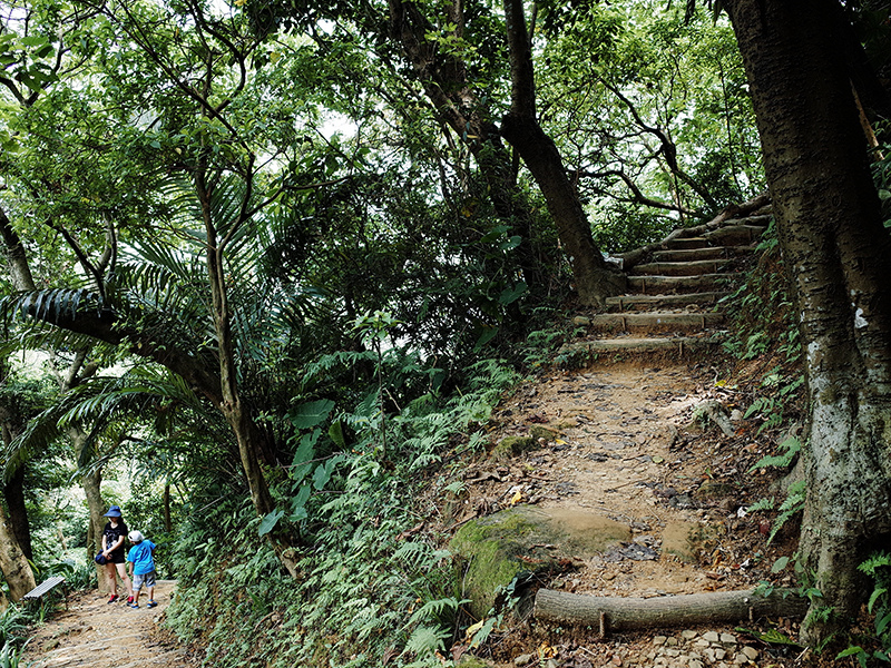 2014-08-23大尖山026.jpg