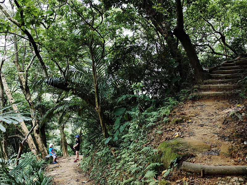 2014-08-23大尖山027.jpg