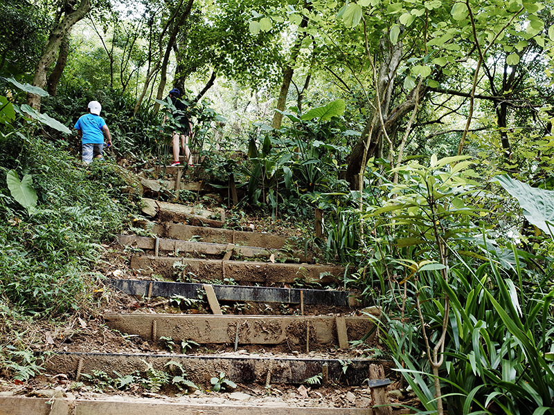 2014-08-23大尖山041.jpg