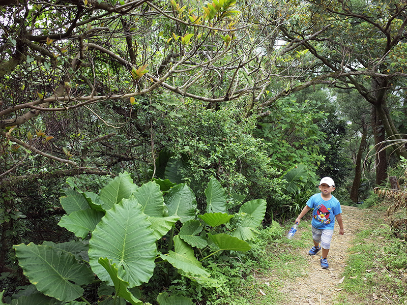 2014-08-23大尖山061.jpg