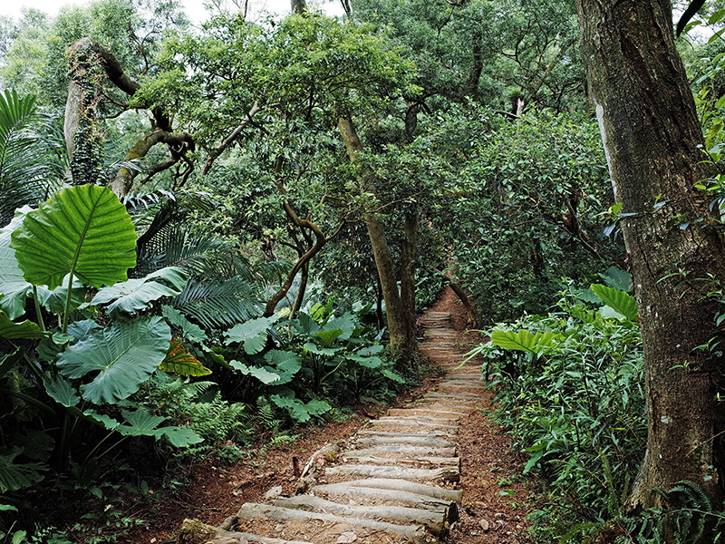 2014-08-23大尖山065.jpg