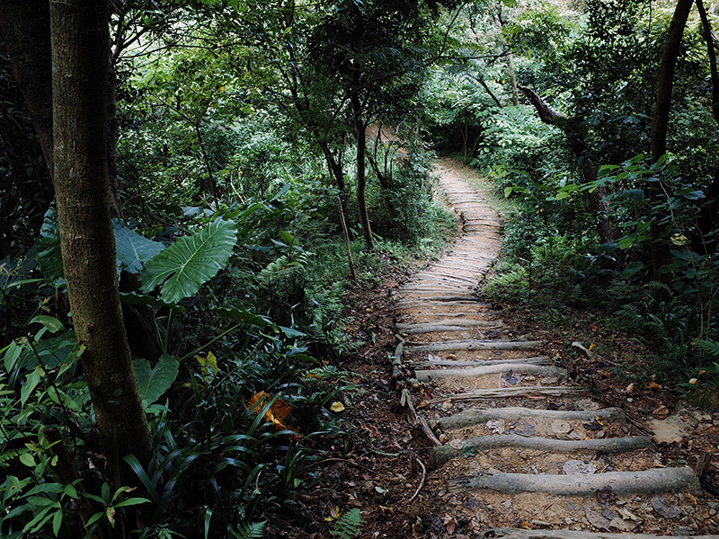 2014-08-23大尖山069.jpg