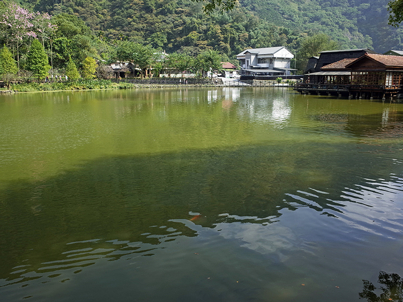 2014-10-10南投．車埕林班道010.jpg