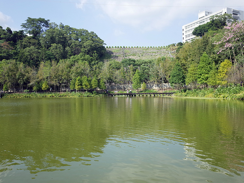 2014-10-10南投．車埕林班道021.jpg