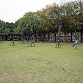 2015-03-15新莊公園009.jpg