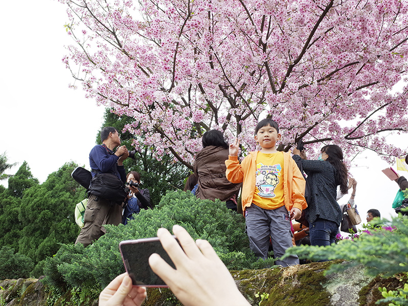 2015-03-21無極天元宮020.jpg