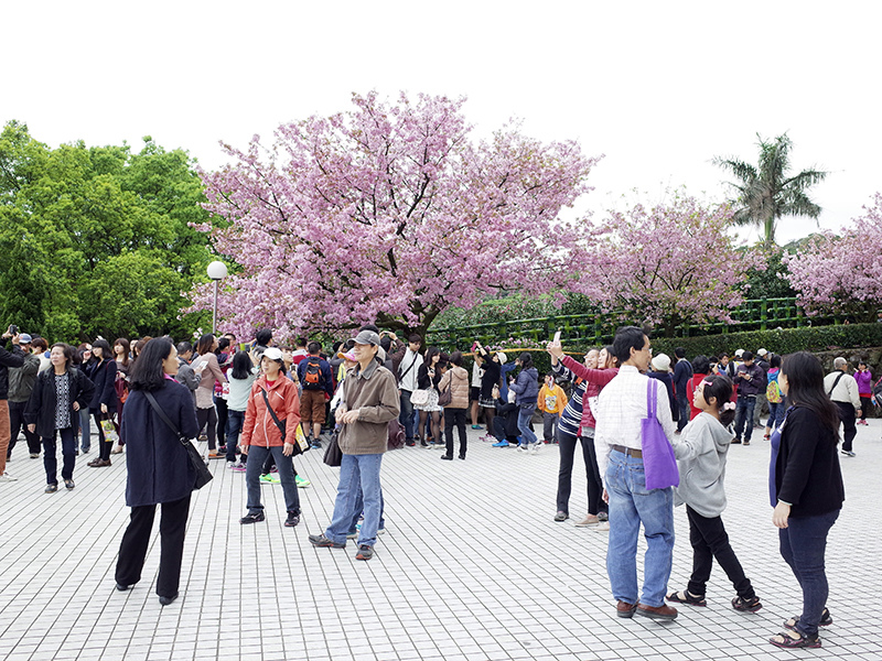 2015-03-21無極天元宮031.jpg