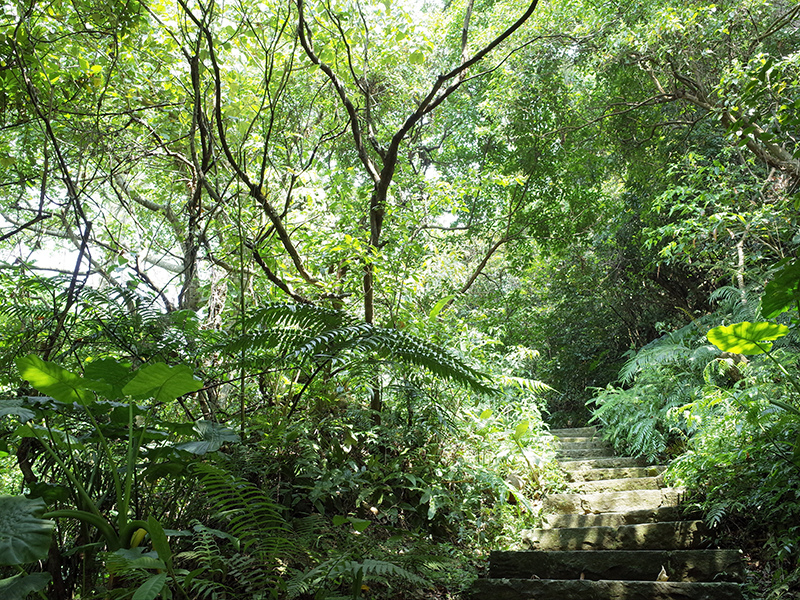 2015-04-05富陽生態公園010.jpg