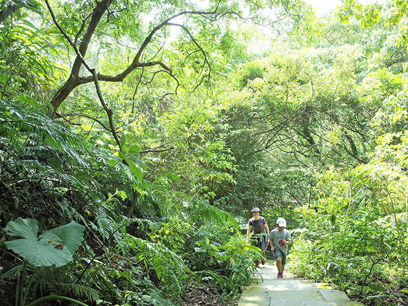 2015-04-05富陽生態公園012.jpg