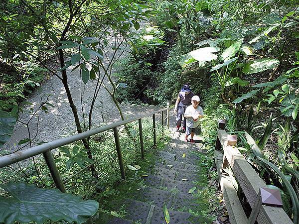 2015-04-05富陽生態公園021.jpg