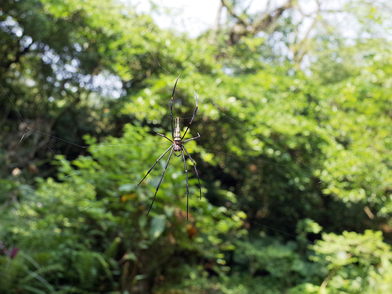 2015-04-05富陽生態公園037.jpg