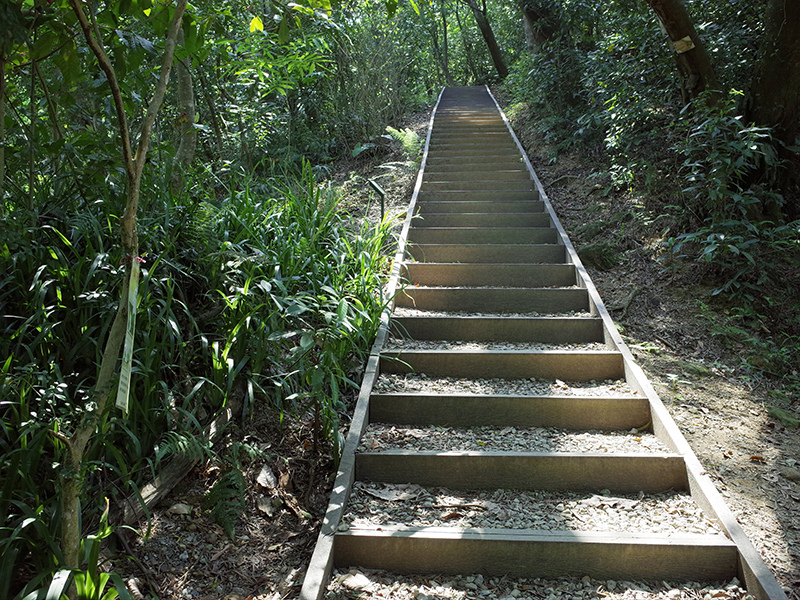 2015-04-05富陽生態公園039.jpg