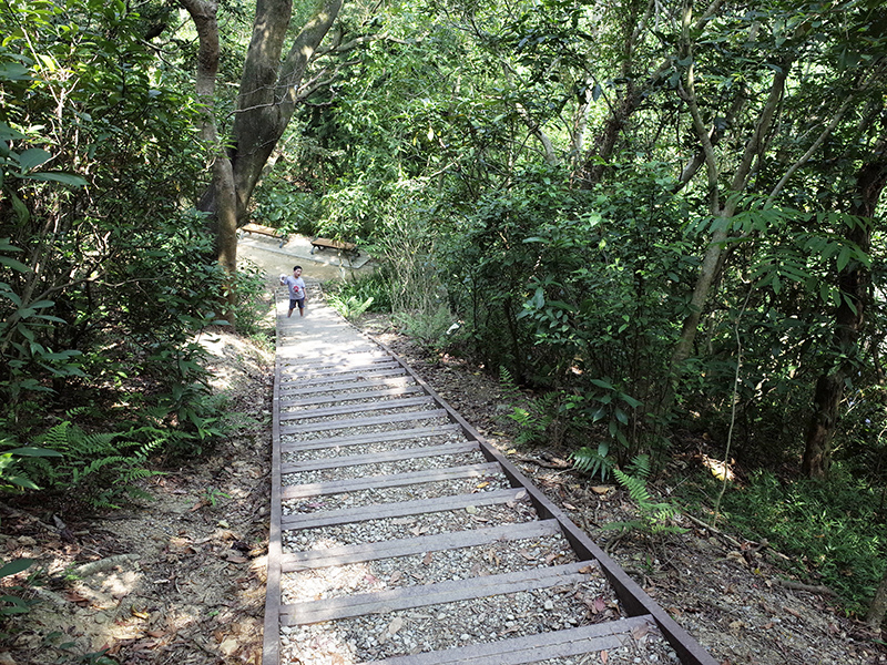 2015-04-05富陽生態公園041.jpg