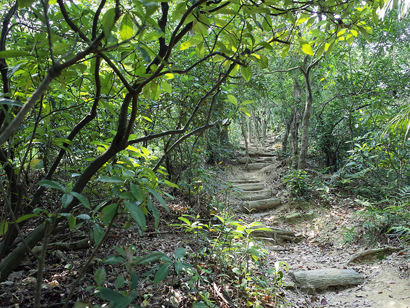 2015-04-05富陽生態公園045.jpg