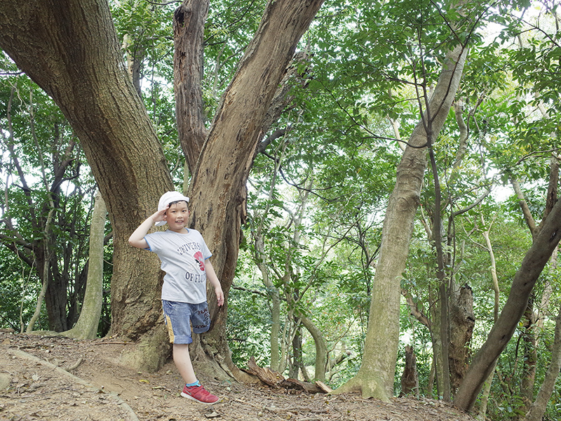 2015-04-05富陽生態公園061.jpg