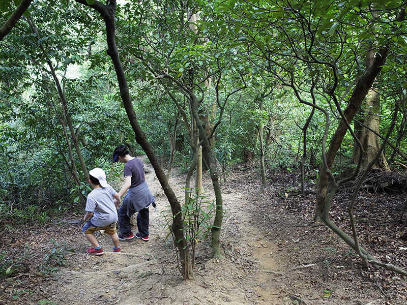 2015-04-05富陽生態公園062.jpg