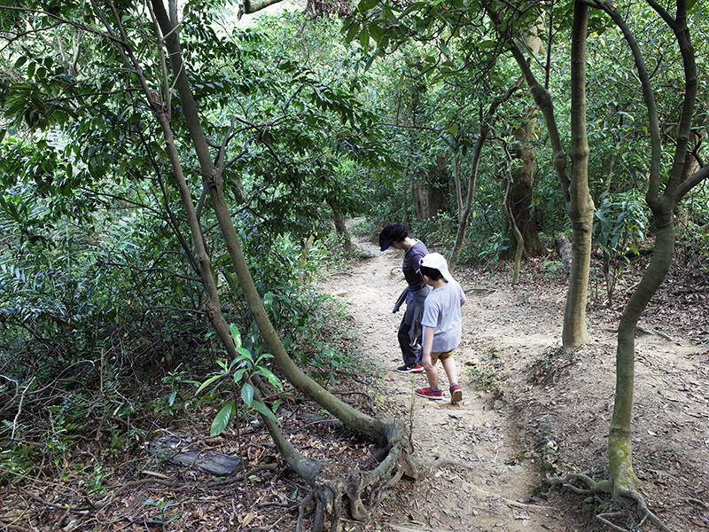 2015-04-05富陽生態公園063.jpg