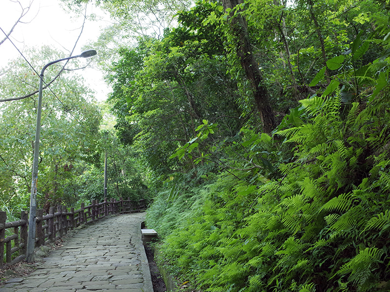 2015-04-15承天禪寺002.jpg