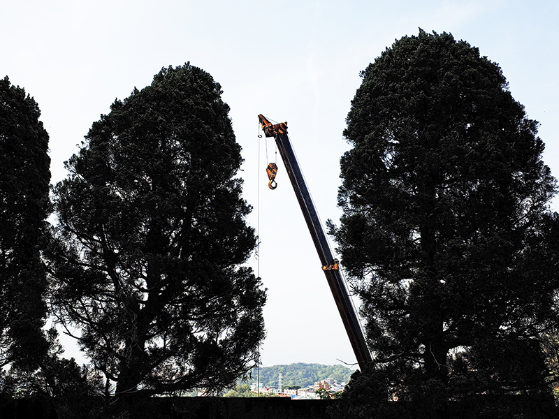 2015-04-15承天禪寺015.jpg