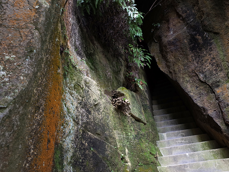 2015-09-19圓通禪寺035.jpg