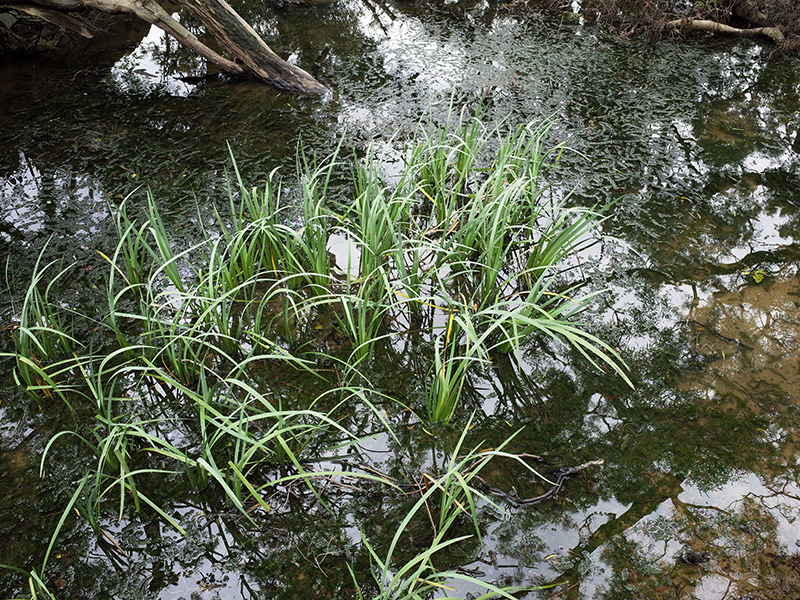 2015-10-10白石湖吊橋038.jpg