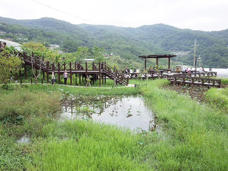 2015-10-10白石湖吊橋044.jpg