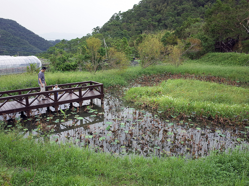 2015-10-10白石湖吊橋047.jpg