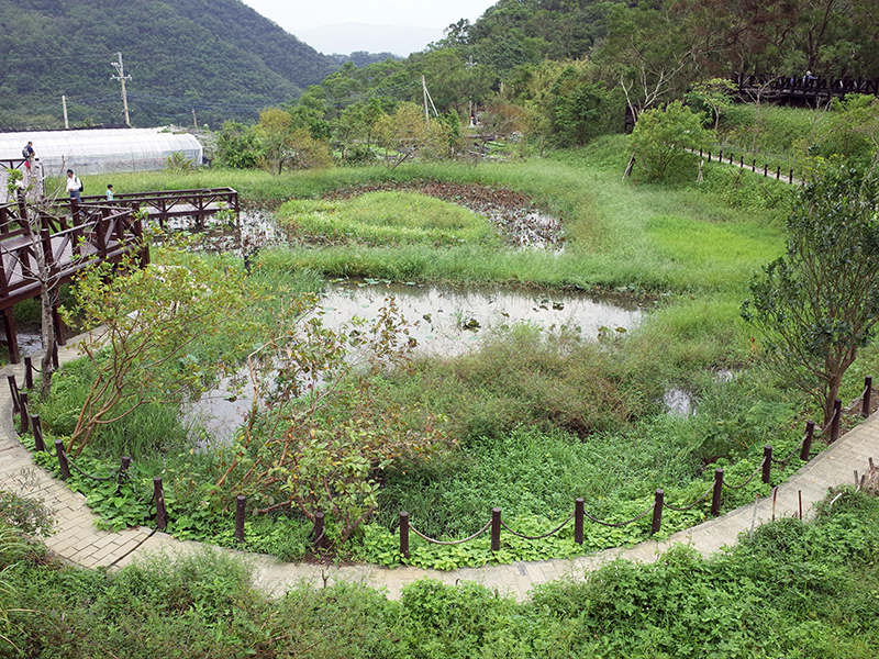 2015-10-10白石湖吊橋066.jpg