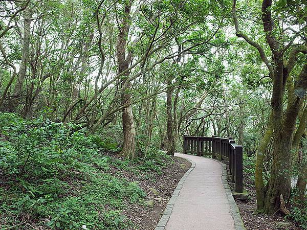 2015-10-18二子坪步道019.jpg