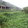 2015-10-18二子坪步道040.jpg