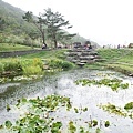 2015-10-18二子坪步道047.jpg